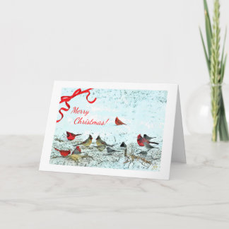 Red Cardinals, Symbol Of Christmas Holiday Card