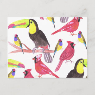 Red cardinals, toucans and gouldian finches postcard