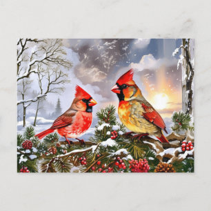 Red Cardinals with Wild Berries Winter Landscape Holiday Postcard