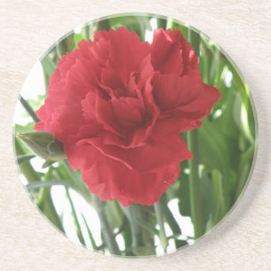 Red Carnation Coasters