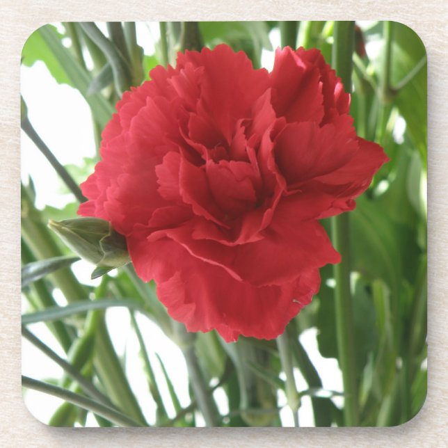 Red Carnation Cork Coaster (Front)