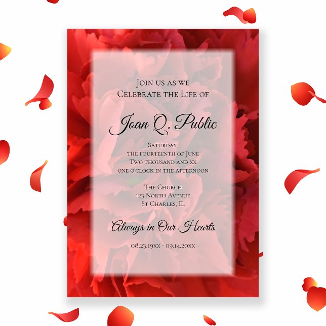 Red Carnation Flower Celebration of Life Memorial Invitation (Creator Uploaded)