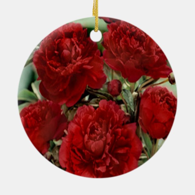 Red Carnation Flowers Ornament (Back)