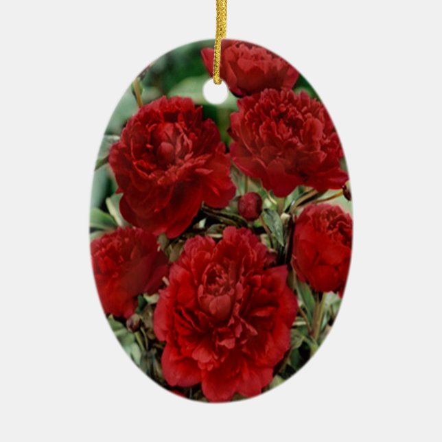 Red Carnation Flowers Ornament (Front)
