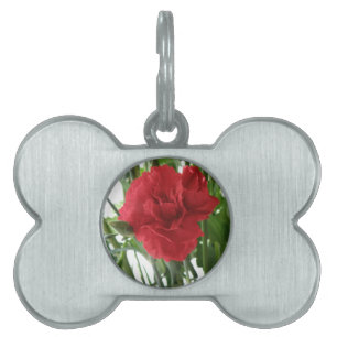 Red Carnation Pet Tag
