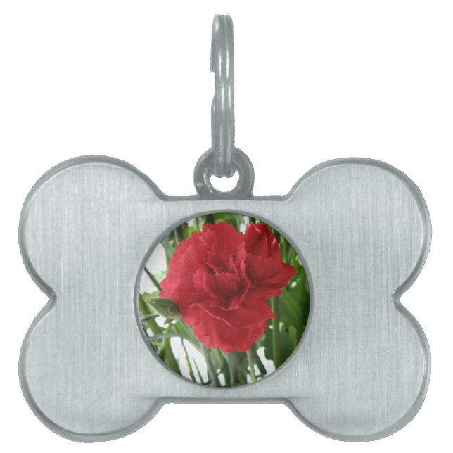 Red Carnation Pet Tag (Front)