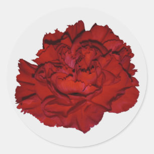Red Carnation Stickers