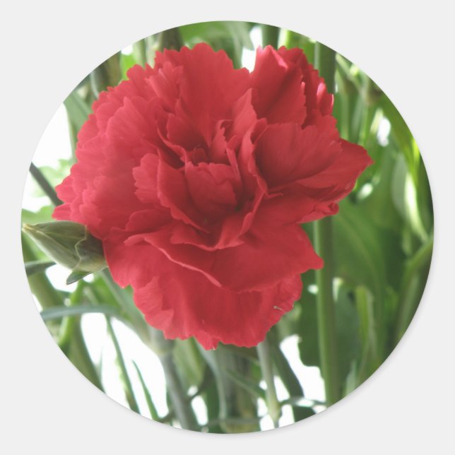 Red Carnation Stickers (Front)