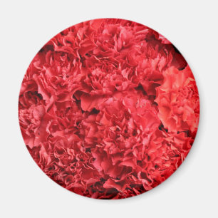 Red Carnations Background Magnet
