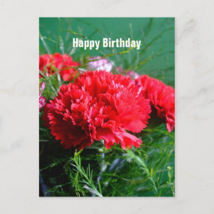 Red Carnations Happy Birthday Postcard