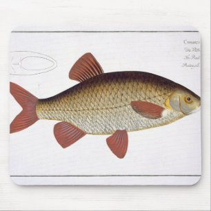 Red Carp (Cyprinus Erithrophthalmus) plate I from Mouse Pad