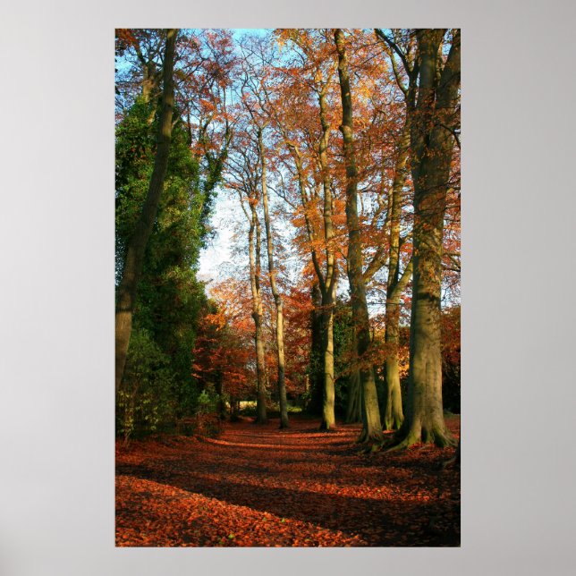 Red Carpet Canvas & Poster Print (Front)