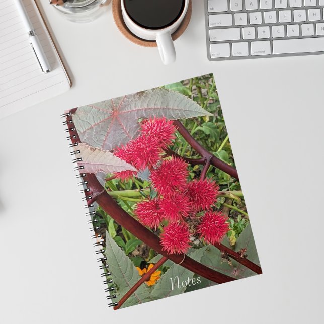 Red Castor Bean Plant Seed Pods Notebook (In Situ)