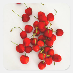 Red Cherries in Natural Light Lay on White Square Sticker