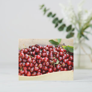 Red cherries Postcard