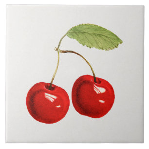 Red Cherry Illustration Ceramic Tile