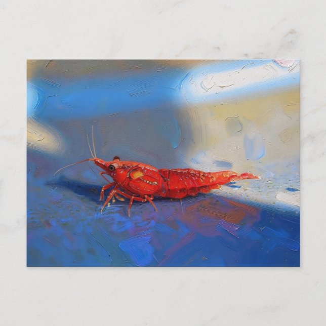 Red cherry shrimp postcard (Front)