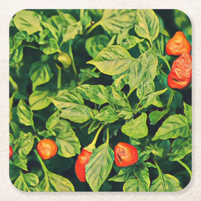 Red Chili Peppers Square Paper Coaster (Front)