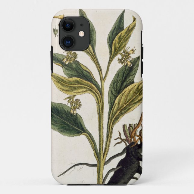 Red Chilli (colour engraving) Case-Mate iPhone Case (Back)