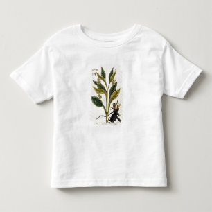 Red Chilli (colour engraving) Toddler T-Shirt