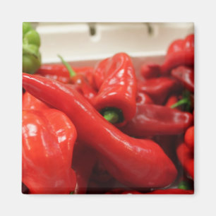 red chilli pepper magnet, kitchen, magnet