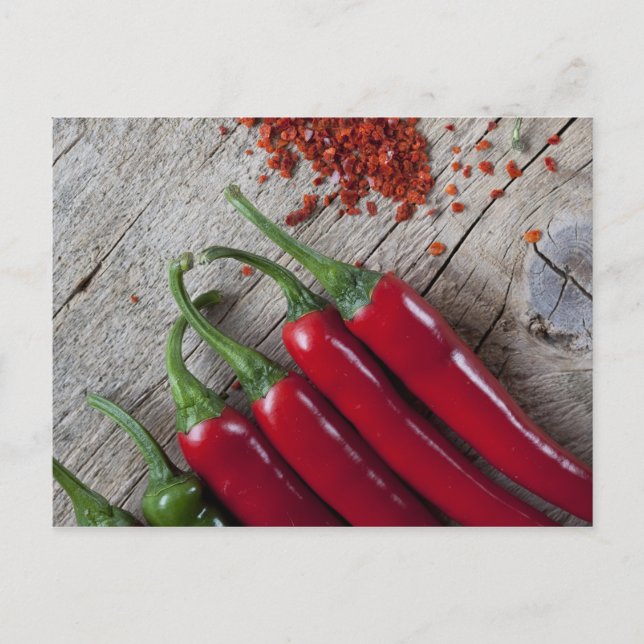 Red Chilli Pepper Postcard (Front)
