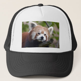 red chinese panda4x6 trucker hat
