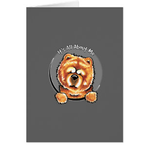 Red Chow Chow IAAM