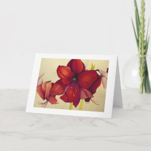 Red Christmas Amaryllis Painting White Border Card