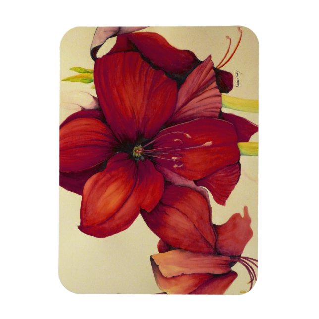 Red Christmas Amaryllis Photo Magnet (Vertical)