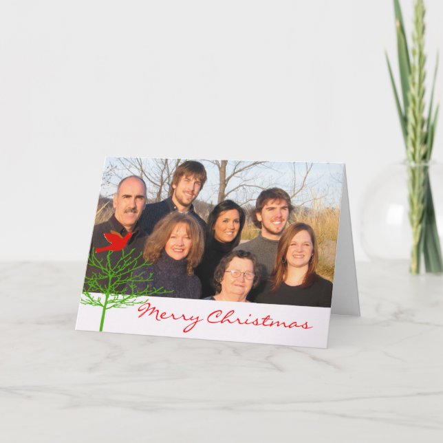 Red Christmas Bird Green Tree Your Photo Holiday Card (Front)