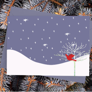 Red Christmas Bird Holiday Postcard