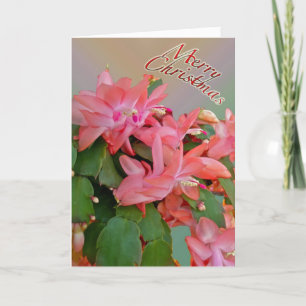 Red Christmas Cactus Christmas Card