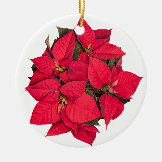 Red Christmas flower Ceramic Tree Decoration (Front)