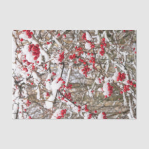 Red Christmas Holly Berries Snow WInter Decoupage Tissue Paper