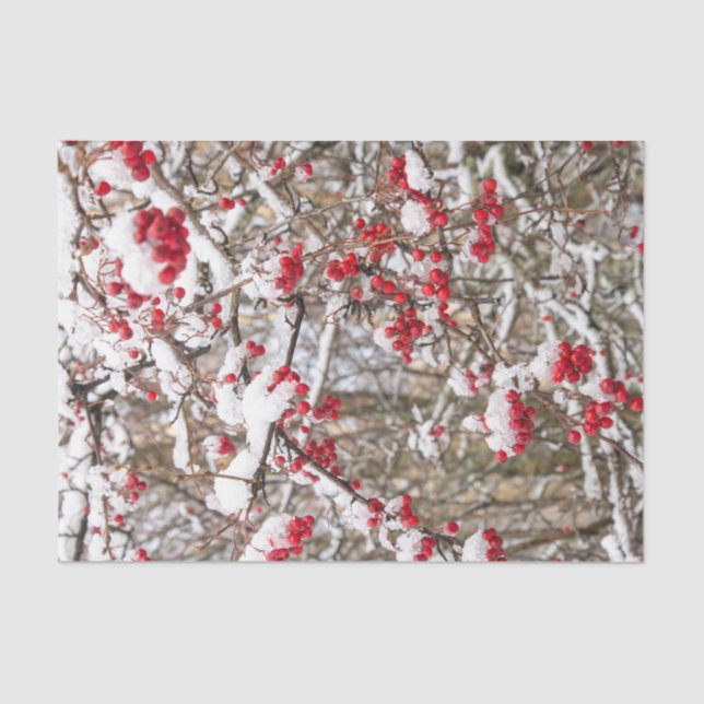 Red Christmas Holly Berries Snow WInter Decoupage  Tissue Paper (Front)