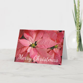 Red christmas poinsettia flowers holiday card