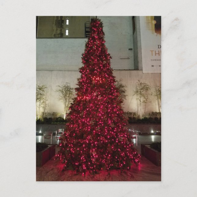 Red Christmas Tree - NYC Postcard (Front)