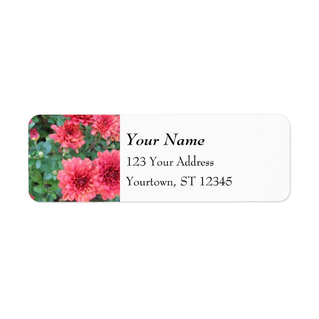Red Chrysanthemum Blooms Return Address Label (Front)