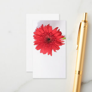 Red Chrysanthemum Petals Flower Floral Enclosure Card