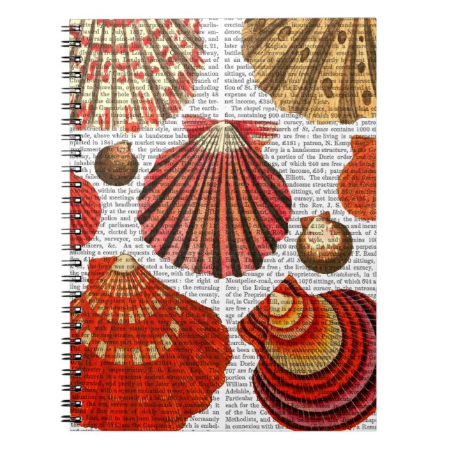 Red Clam Shells Notebook (Front)