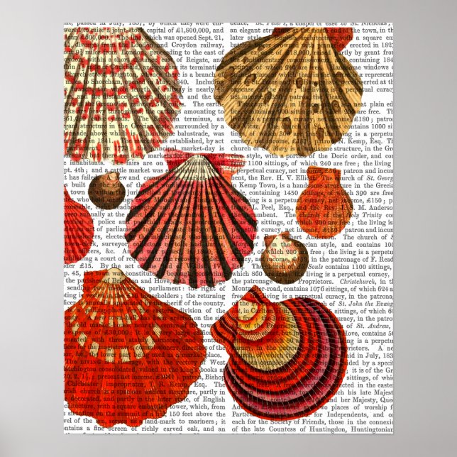 Red Clam Shells Poster (Front)