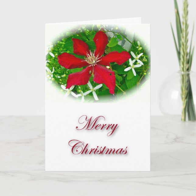 Red Clematis Merry Christmas Holiday Card (Front)