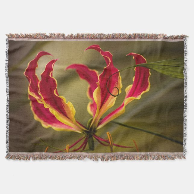 Red climbing Fire lily Throw Blanket (Front)