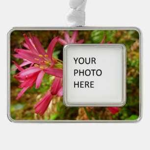 Red Clintonia Flowers at Redwoods Silver Plated Framed Ornament