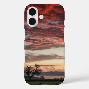 Red Clouds Sunset Tree Green fields iPhone 16 Case