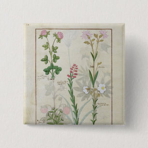 Red clover & Aube Bellidis Onobrychis & Hyssopus 15 Cm Square Badge