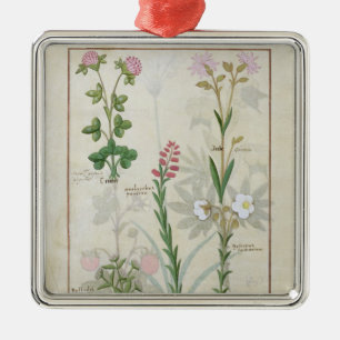 Red clover & Aube Bellidis Onobrychis & Hyssopus Metal Tree Decoration
