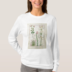 Red clover & Aube Bellidis Onobrychis & Hyssopus T-Shirt