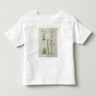 Red clover & Aube Bellidis Onobrychis & Hyssopus Toddler T-Shirt